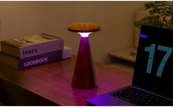 Lampada da tavolo LED colore naturale scuro con paralume in legno (altezza totale 21 cm) Sylva – Gingko