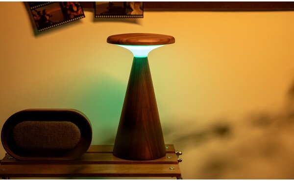 Lampada da tavolo LED colore naturale scuro con paralume in legno (altezza totale 21 cm) Sylva – Gingko