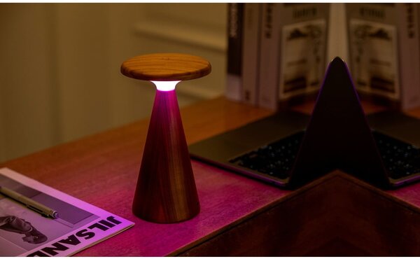 Lampada da tavolo LED colore naturale scuro con paralume in legno (altezza totale 21 cm) Sylva – Gingko