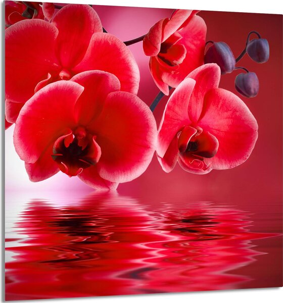 PIATTO IN VETRO PER CUCINA 60x65 Orchidea