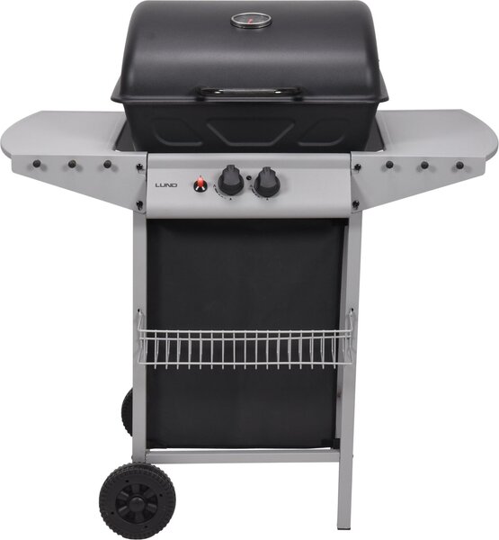 Barbecue a gas 5,5 kW, 2 bruciatori, acciaio 97,3 × 53 ×102 cm