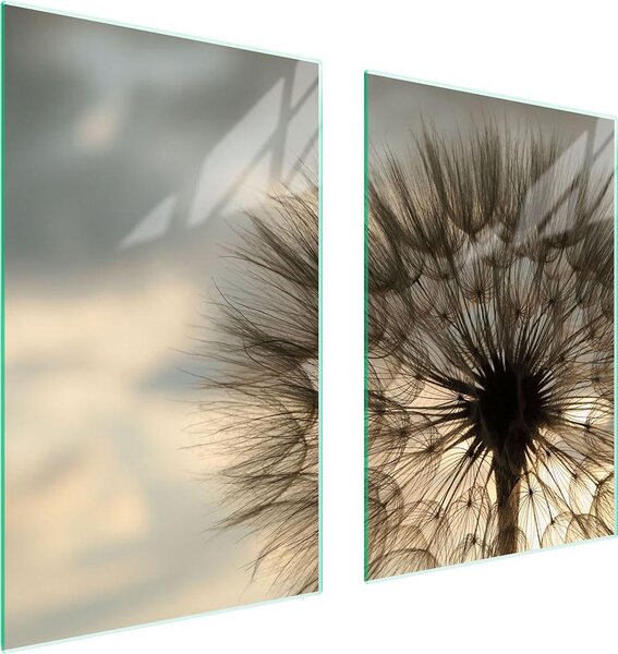 Piatto Di Protezione In Vetro Per La Cucina 65X52 Blume