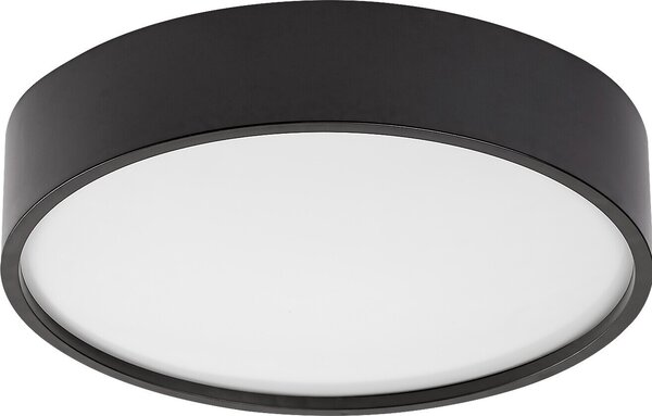Lampada da soffitto per bagno LED 19W LARCIA 75011 Rabalux