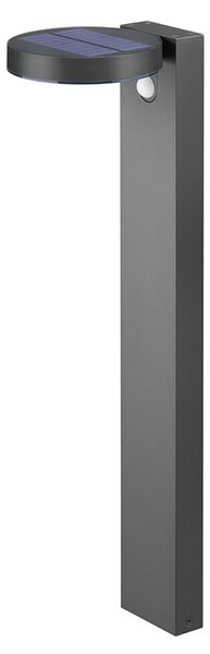 Trio Leuchten - Moderna lampada a stelo per esterni antracite con sensore di movimento a energia solare - Posada | illuminazione per esterni - acciaio inox allungato - | (non sostituibile) LED