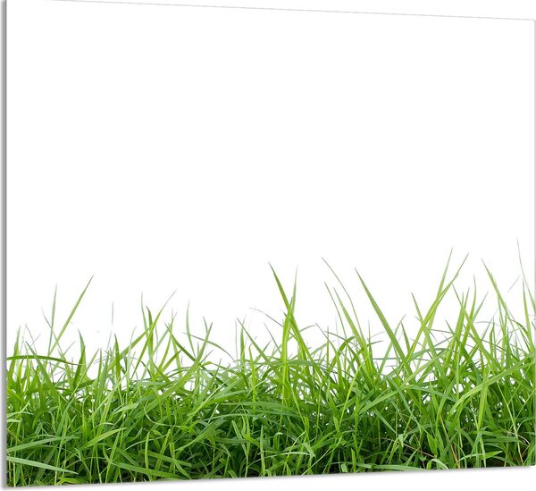 PIATTO IN VETRO PER CUCINA 65x60 Bianco