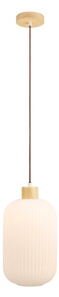 Lampadario bianco con paralume in vetro ø 20 cm Argalo – House Nordic