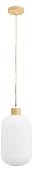 Lampadario bianco con paralume in vetro ø 20 cm Argalo – House Nordic