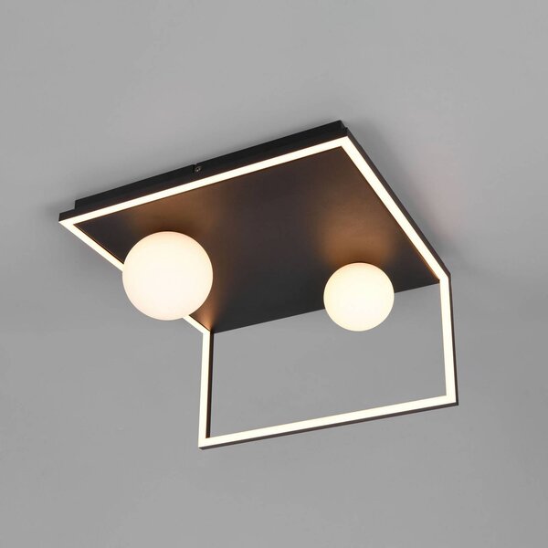 Trio Lighting Plafoniera soffitto Arola, dimmerabile, Nero, Soggiorno / Sala da pranzo, Metallo, Moderno, Plafoniera