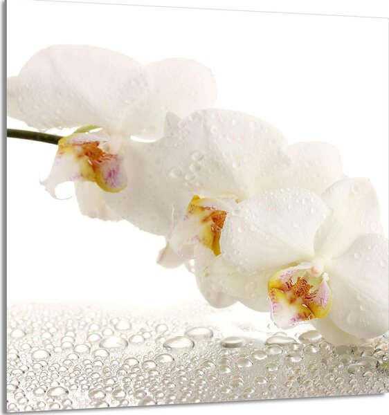 PIATTO IN VETRO PER CUCINA 60x65 Orchidea