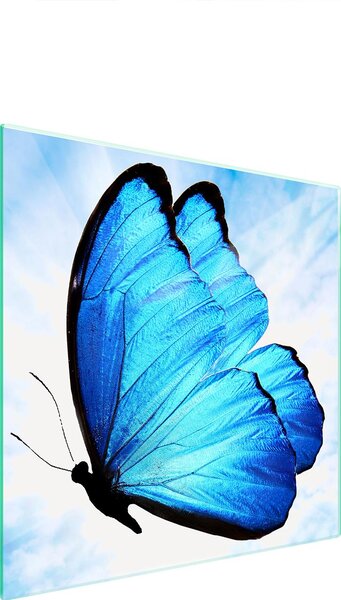 Piastra Di Protezione In Vetrina Per L'erba 50X52 Butterfly