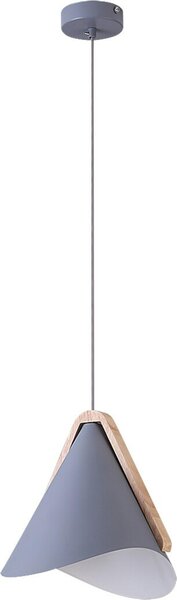 Rabalux 6649 Lampada a sospensione 1 Spot Neva, E27, grigio, industriale, 24,5cm