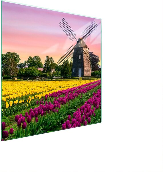 Piastra Di Protezione In Vetrina Per Levi 50X52 Meadow