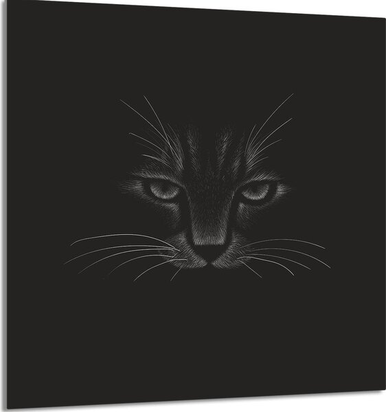 PIATTO IN VETRO PER CUCINA 60x65 cat