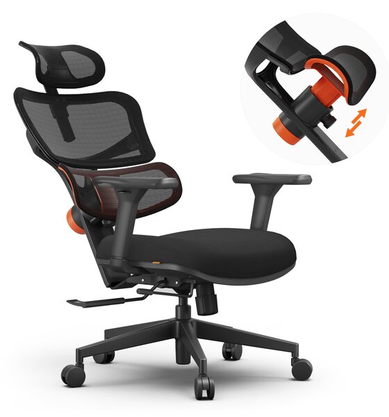 NEWTRAL Sedia da ufficio ergonomica - Sedia da scrivania con schienale alto