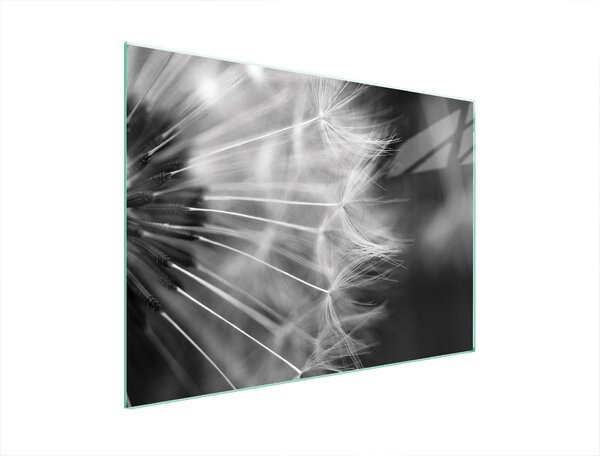 Piastra Di Protezione In Vetrina Per Levi 70X52 Blume