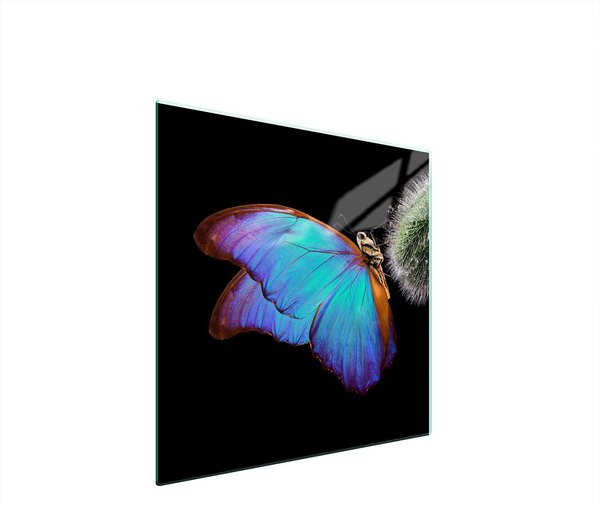 Piastra Di Protezione In Vetrina Per L'erba 50X52 Butterfly
