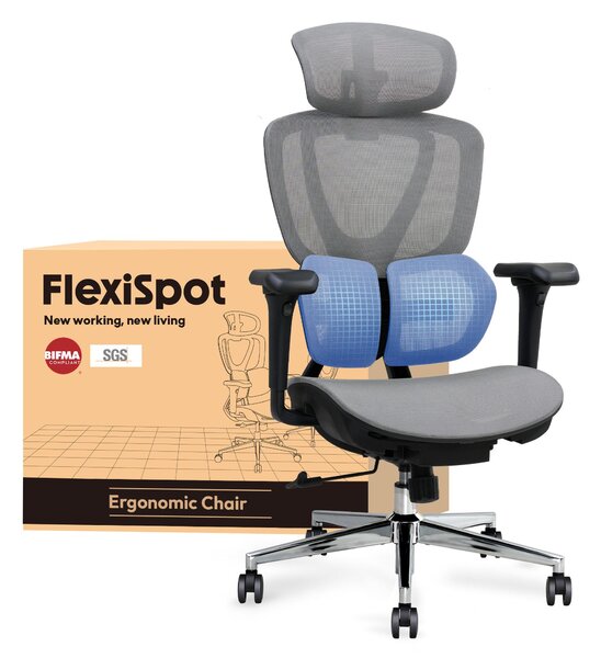 FLEXISPOT Sentinel: sedia da ufficio ergonomica con supporto lombare Dual-Wing, poggiatesta 3D, braccioli 3D, profondità della seduta e schienale regolabili (grigio)