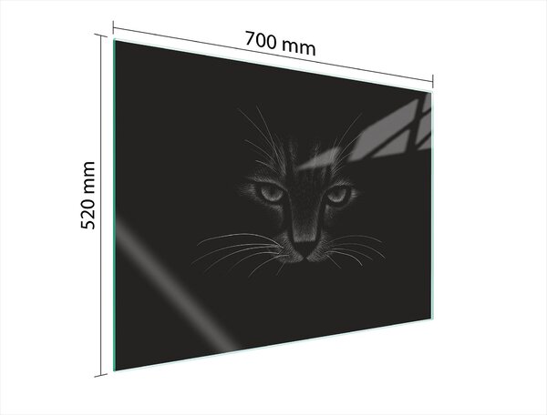 Piastra Di Protezione In Vetrina Per Levatori 70X52 Cat