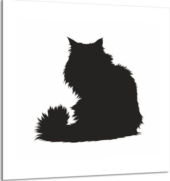 PIATTO IN VETRO PER CUCINA 60x65 cat