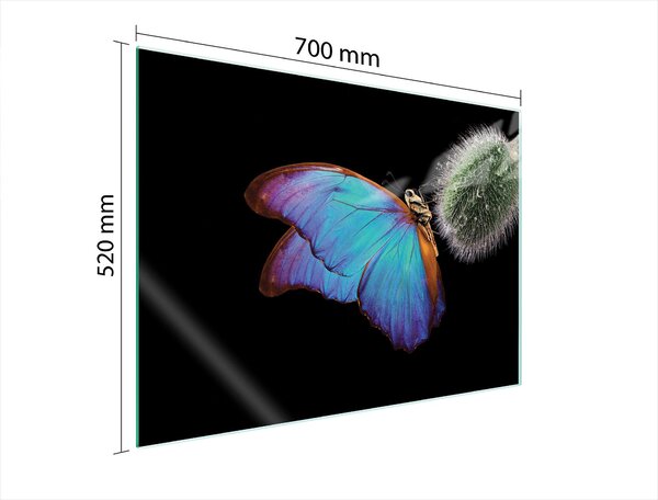 Piastra Di Protezione In Vetrina Per L'erda 70X52 Butterfly