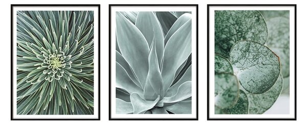 Set di dipinti 3 pz 30x40 cm – knor