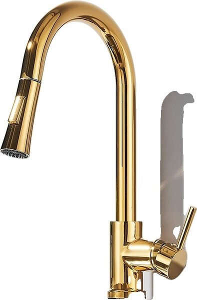 Rubinetto da cucina estraibile, rotazione a 360°, doppia modalità d'acqua, oro