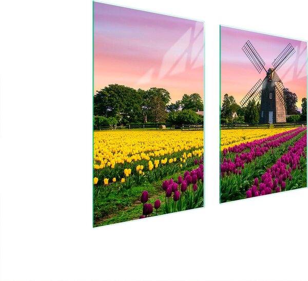 Piatto Di Protezione In Vetro Per Cucina 65X52 Meadow