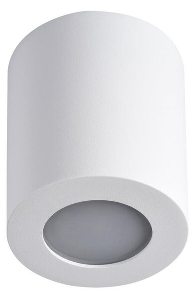 Kanlux 29241 - LED Plafoniera da bagno SANI 1xGU10/10W/230V IP44 bianco