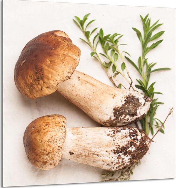 PIATTO IN VETRO PER CUCINA 60x65 Funghi
