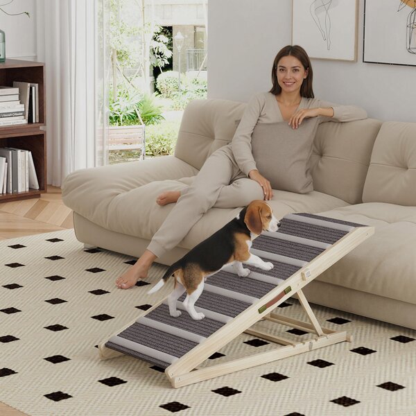 PawHut Rampa per Cani Pieghevole e Regolabile, con Tappeto Antiscivolo, 41–60 cm | Aosom Italy