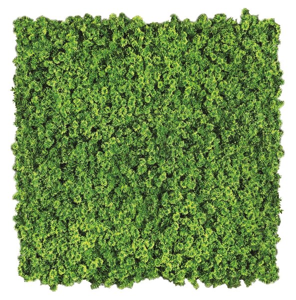 Siepe artificiale Lichene Divy 3D in polietilene, verde H 1 m x L 1 m