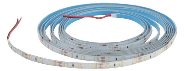 Striscia bagno LED DAISY 5m bianco freddo IP65