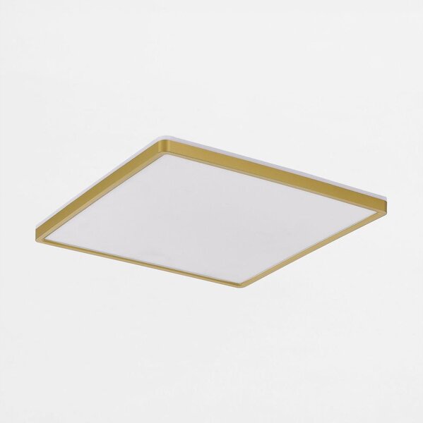 Zuma Line MS748400S-3-GD - Luce LED dimmerabile BOVE 50W/230V 3000/4000/5500K oro