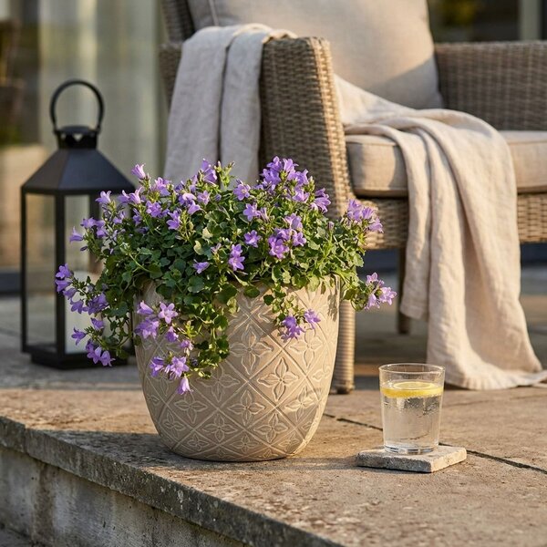 CAMPANULA - vaso in fibra sintetica