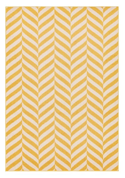 Tappeto giallo 230x160 cm Muse - Asiatic Carpets