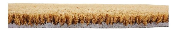 Zerbino in fibre di cocco 40x60 cm Swallows – Artsy Doormats