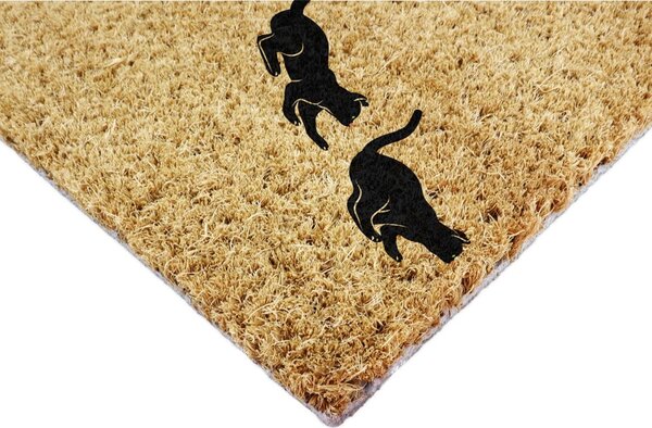 Zerbino in fibre di cocco 40x60 cm Jumping Cats – Artsy Doormats