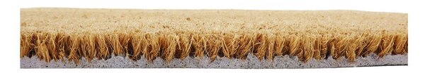 Zerbino in fibre di cocco 40x60 cm Paw Prints – Artsy Doormats