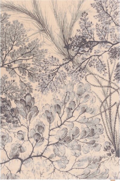 Tappeto color menta/beige in lana 133x190 cm V&A Calisia Kelp – Agnella