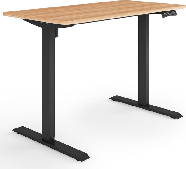 ESMART ETX-121BM 120x60cm Acero Scrivania ergonomica in piedi/seduta Regolabile elettricamente in altezza in modo continuo 73,5-123,5 cm 3x memoria Porta di ricarica USB Promemoria attività Avvio/arresto graduale Montaggio rapido