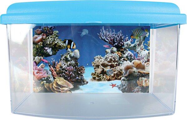 Scatola da trasporto Aqua Travel 22 cm