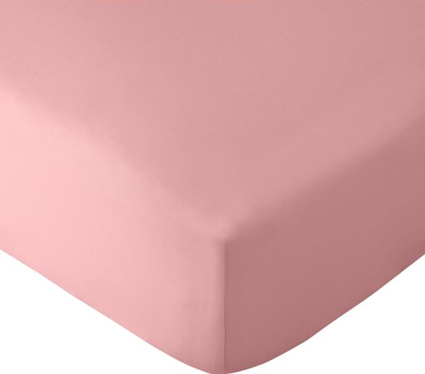 Lenzuolo con angoli rosa 90x190 cm So Soft Non-Iron – Catherine Lansfield