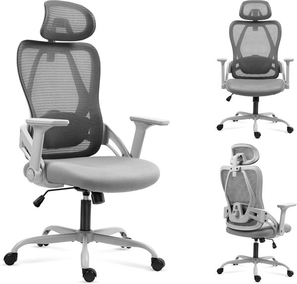 Sedia ergonomica da ufficio con supporto lombare - Grigia
