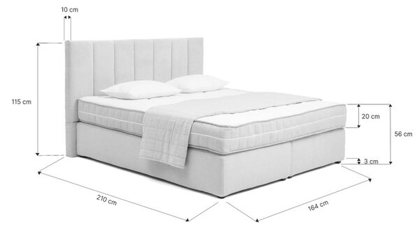Letto boxspring beige 160x200 cm Olia Bold Line – Bonami Selection