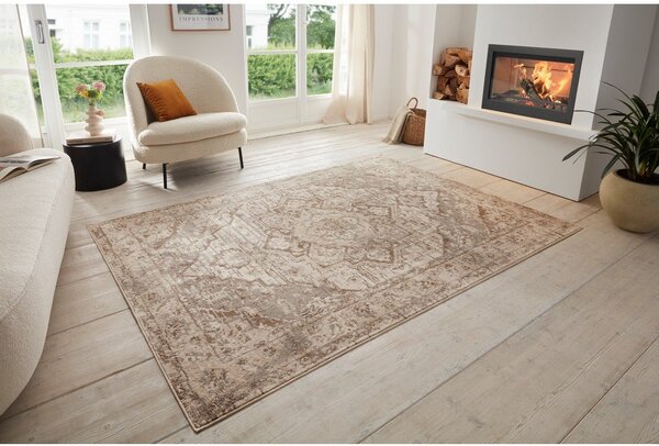 Tappeto grigio/beige 160x235 cm Terrain Designer Sand – Hanse Home