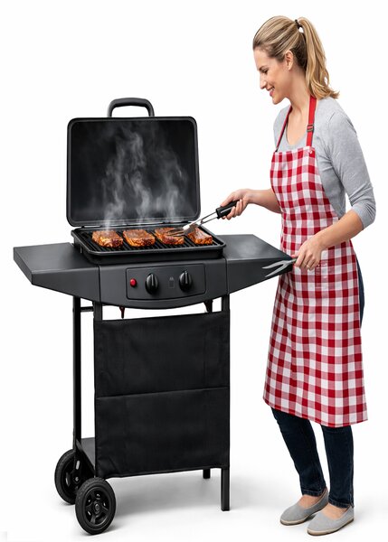 Barbecue a Gas 2 Fuochi 5 kW Griglia BBQ 45x32 cm con Piani Laterali e Ruote in Acciaio Nero