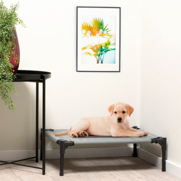 Brandina Letto Cuccia per Cani 43x55x17 cm con Borsa per Trasporto Max 20kg grigio