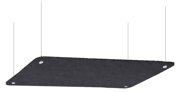 Pannello Fonoassorbente da Soffitto con Kit di 4 Cavetti 120x50 cm Finitura Antracite