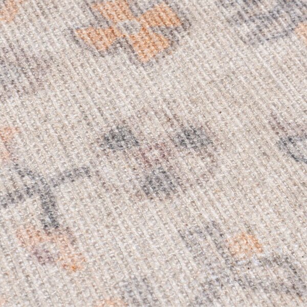 Tappeto color crema lavabile 152x230 cm Teo Traditional – Flair Rugs