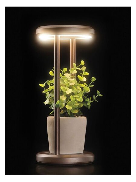 CLEPSY LAMPADA DA TAVOLO CON BATTERIA RICARICABILE IP54 TOUCH DIMMER LED 2W DIMMERABILE 5 COLORI
